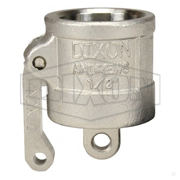 Type DC Cam and Groove Dust Cap, 1/2 in, 316 SS, Domestic